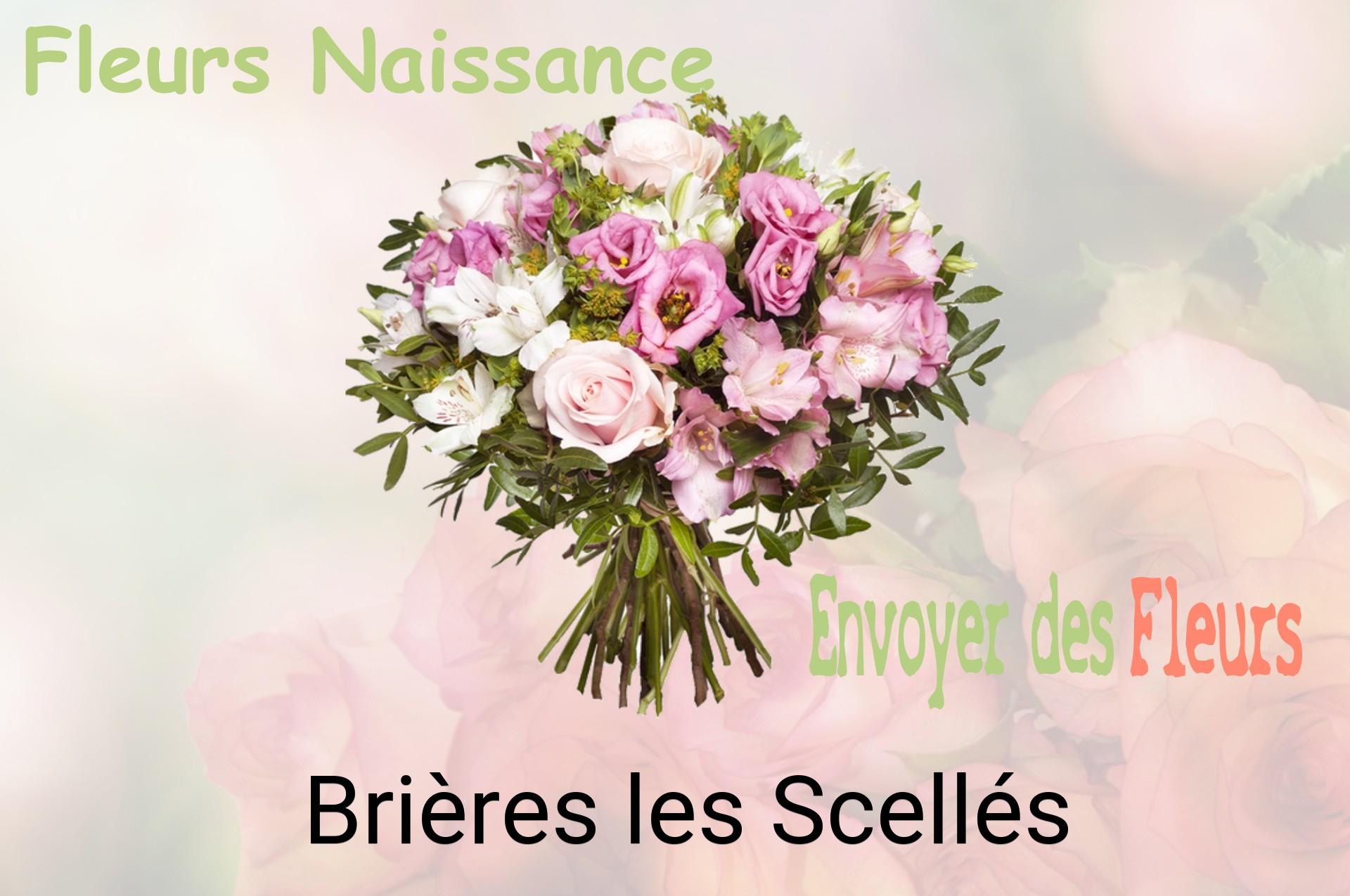 Bouquet de fleurs de naissance livré à Brières-les-Scellés